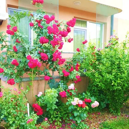 Apartamento Natali